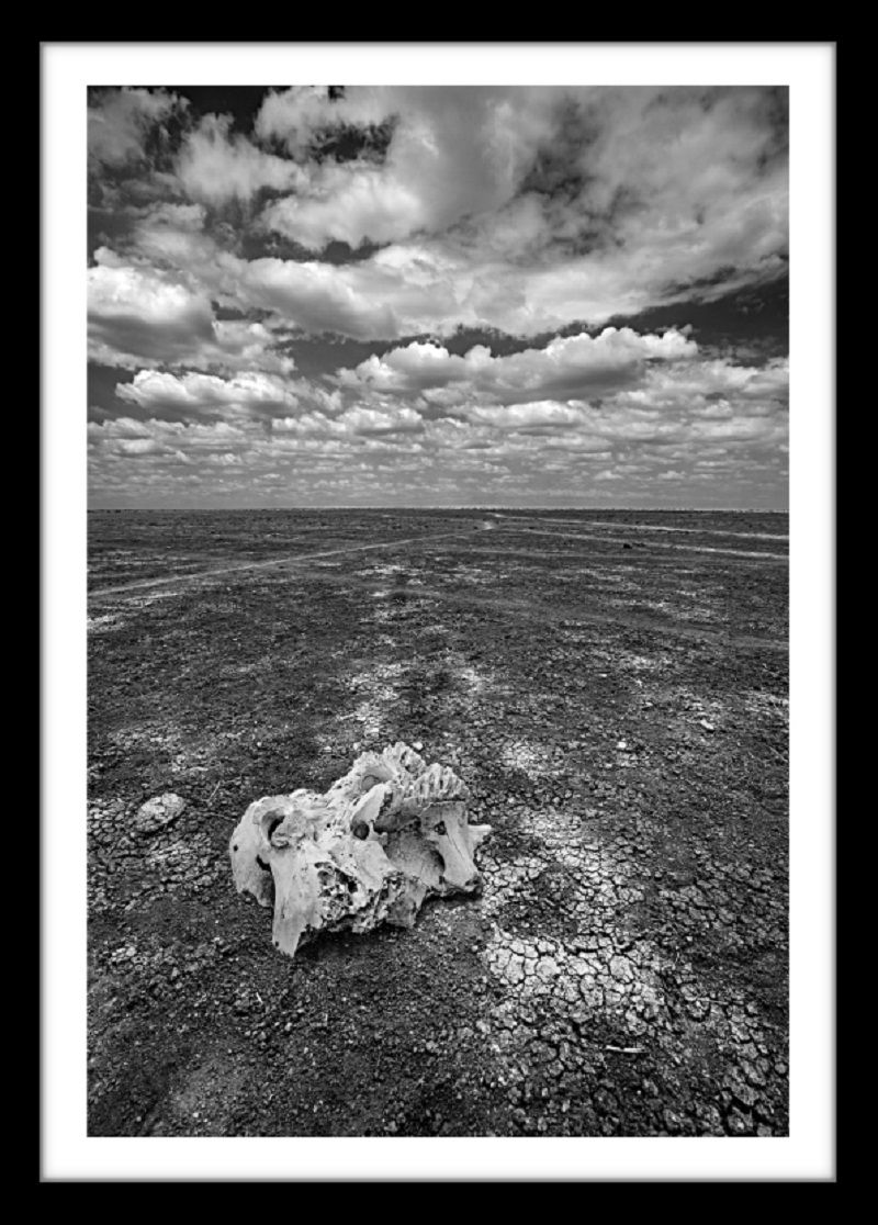 48 x 36 in., edition of 15